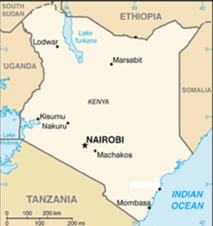 Disangka Akar, Bom Era Kolonial Diledakkan di Kenya