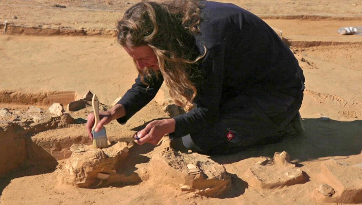 8 Telur Burung Unta Berusia 4.000 Tahun Ditemukan Di Palestina Selatan